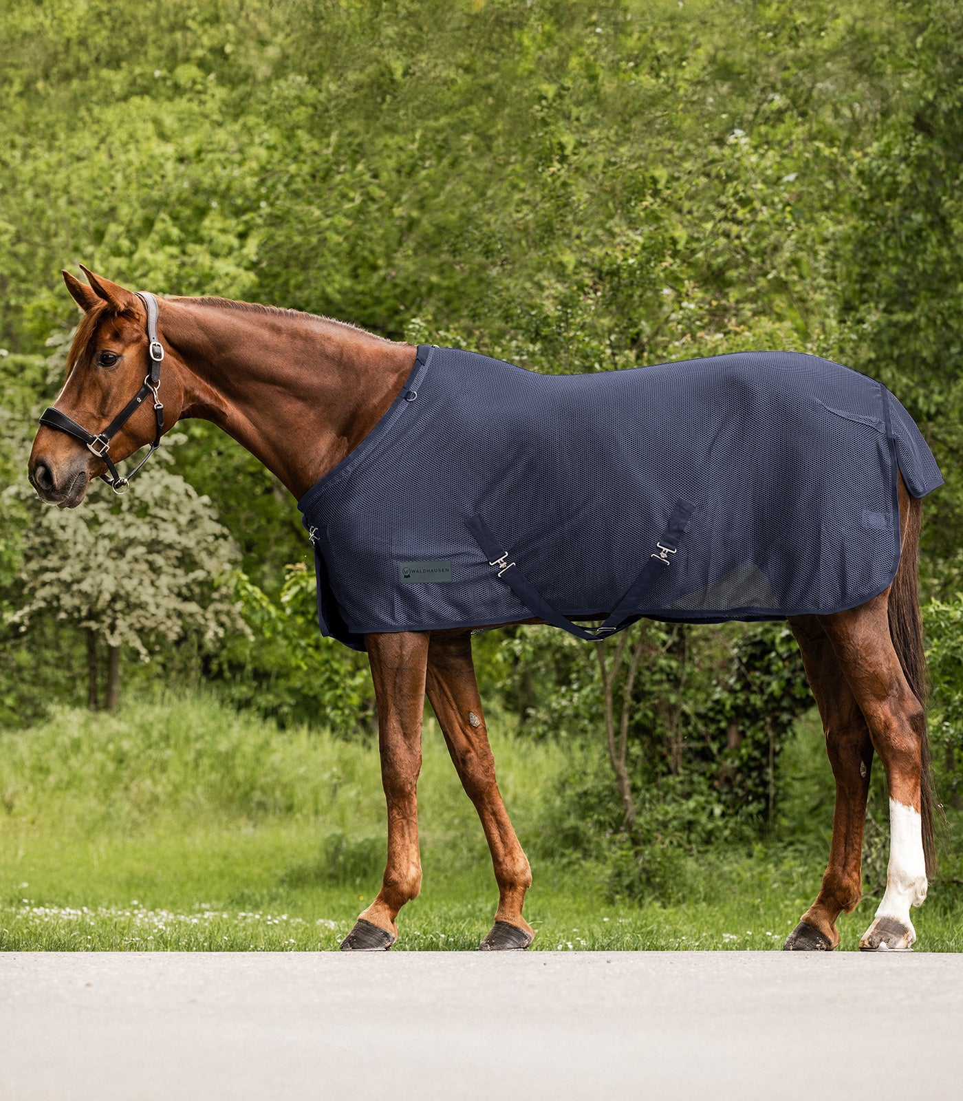 Waldhausen - Fly rug Comfort Cross Surcingles