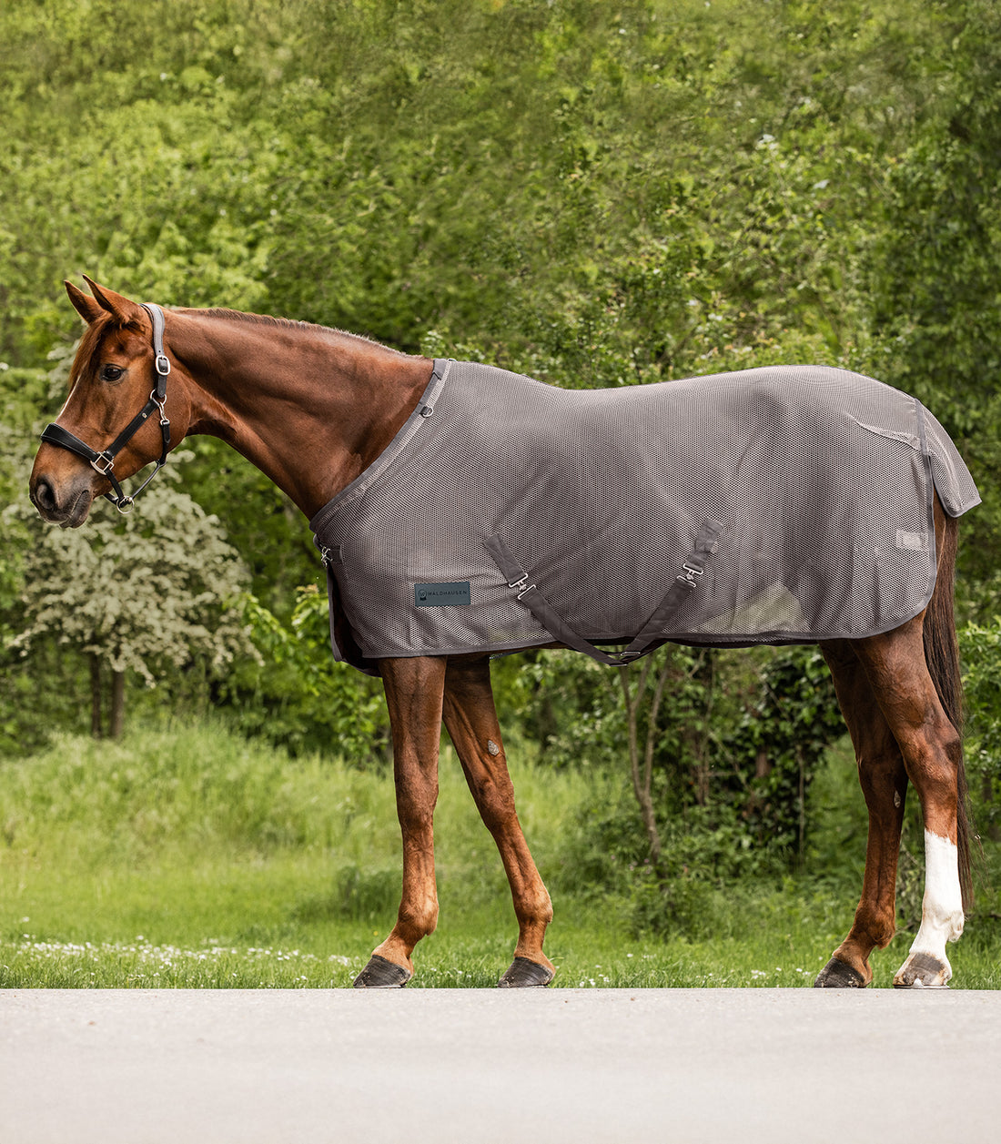 Waldhausen - Fly rug Comfort Cross Surcingles