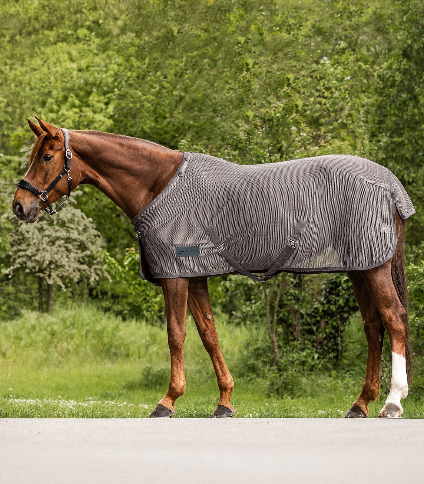 Waldhausen - Fly rug Comfort Cross Surcingles