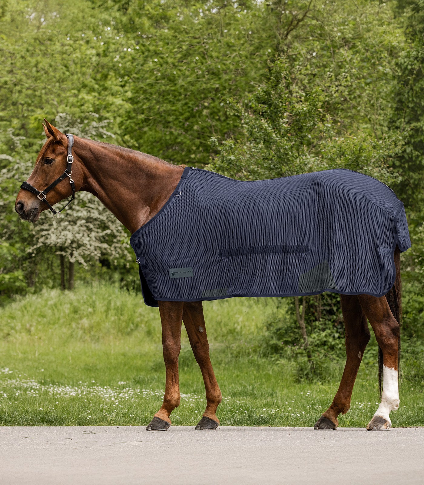 Waldhausen - Fly rug Comfort with belly flap