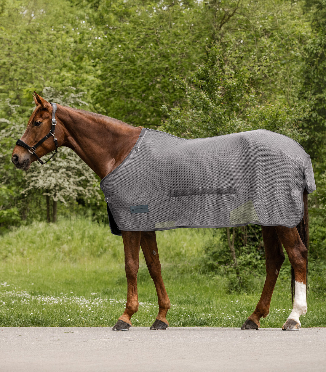 Waldhausen - Fly rug Comfort with belly flap