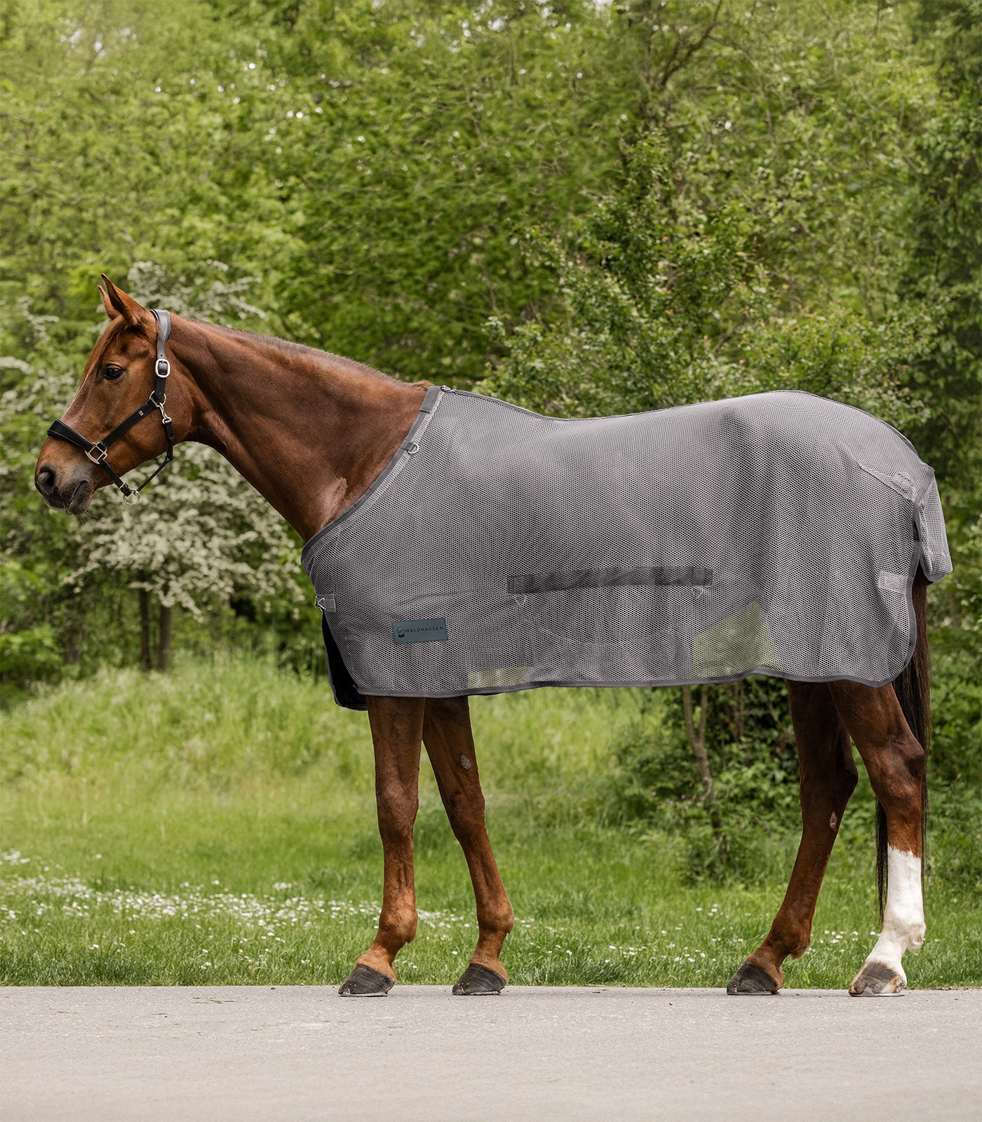 Waldhausen - Fly rug Comfort with belly flap
