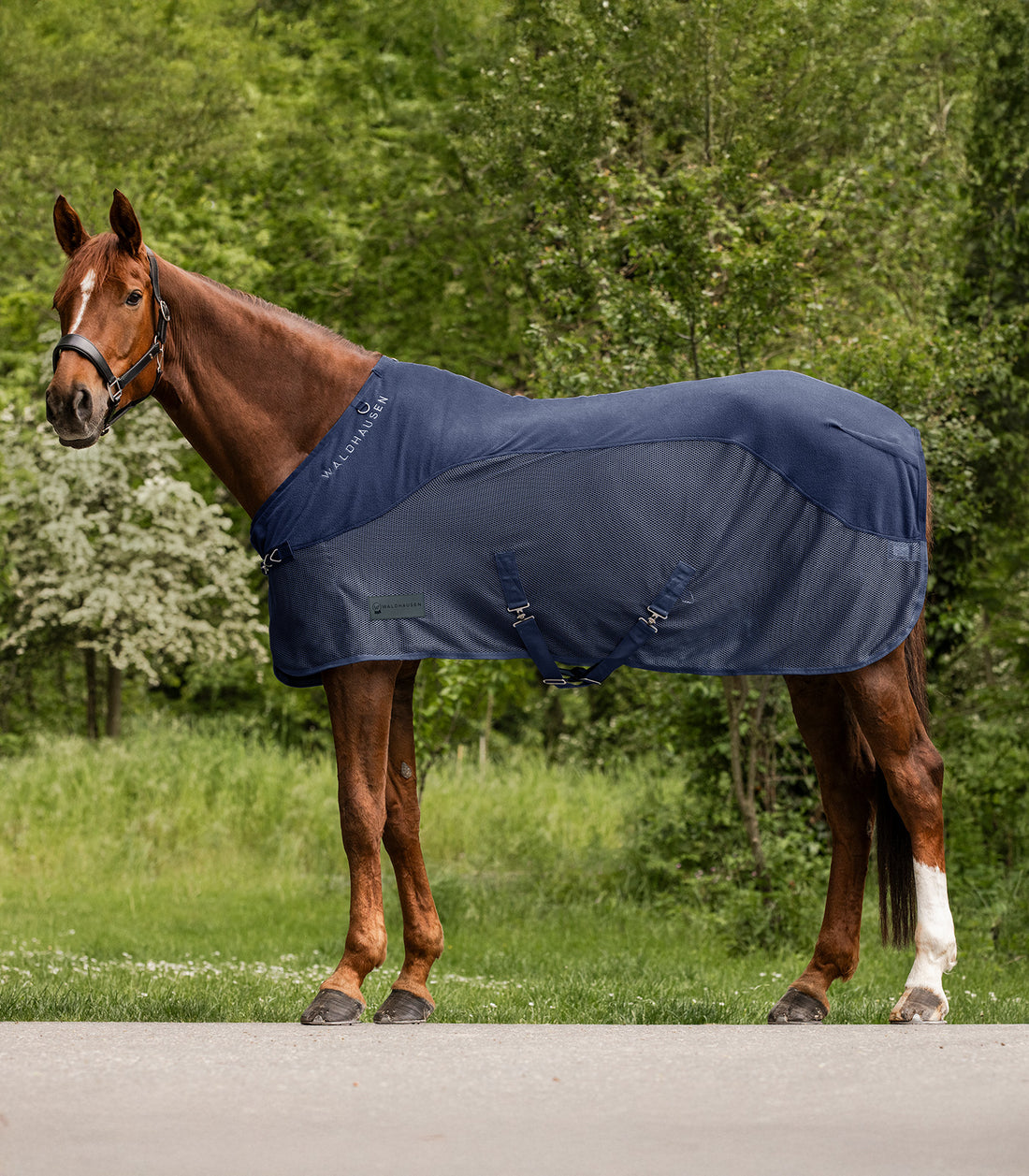 Waldhausen - Fleece/Fly rug Comfort