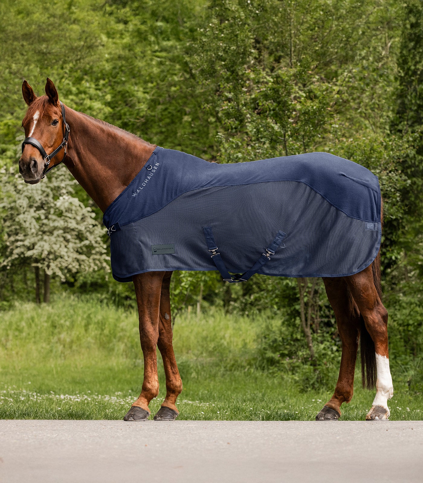 Waldhausen - Fleece/Fly rug Comfort