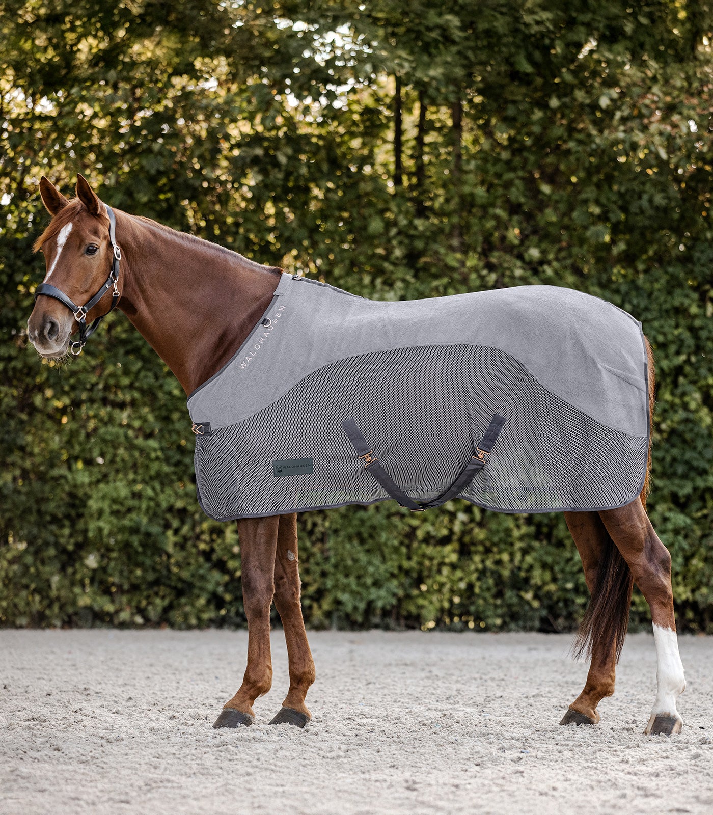 Waldhausen - Fleece/Fly rug Comfort