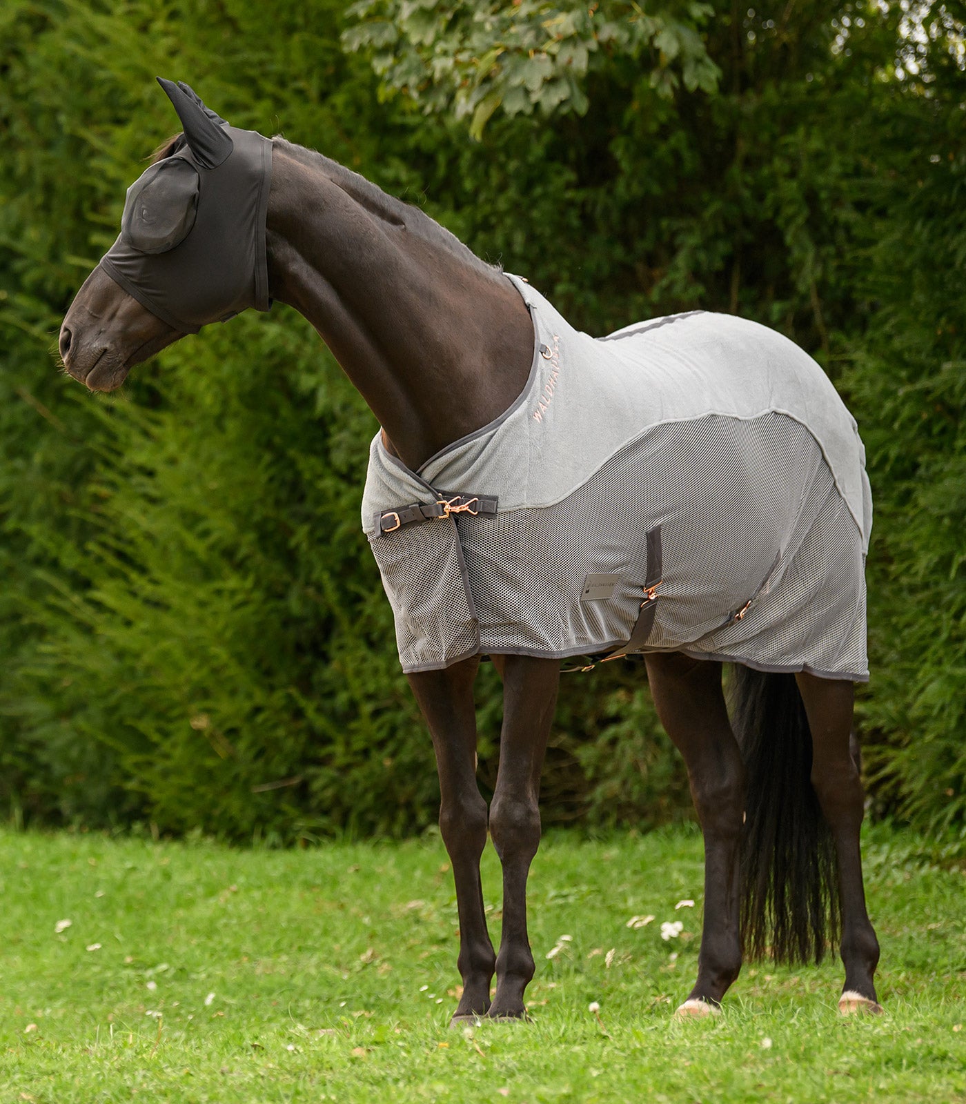 Waldhausen - Fleece/Fly rug Comfort