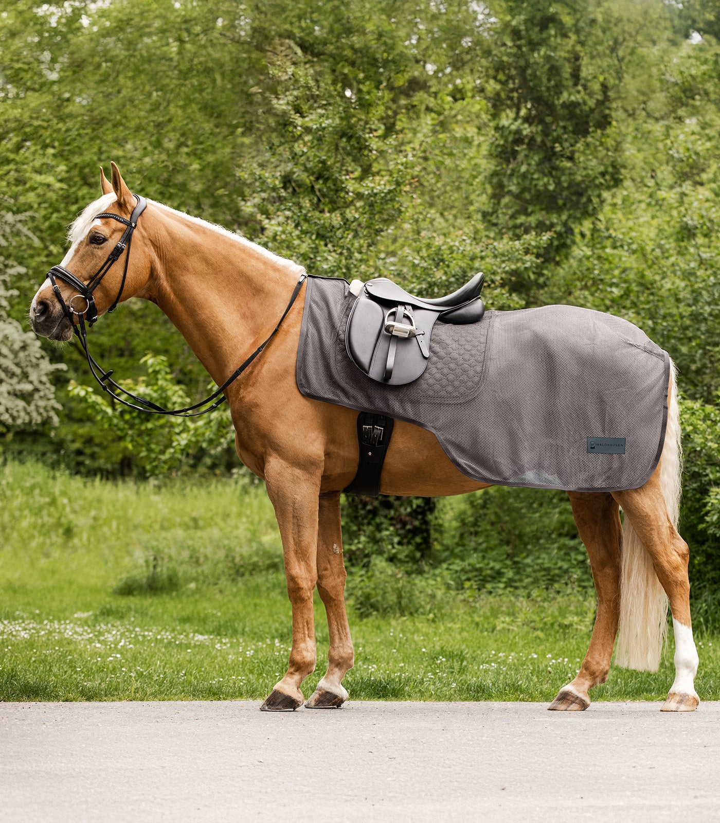 Waldhausen - Fly sheet with saddle cut Comfort