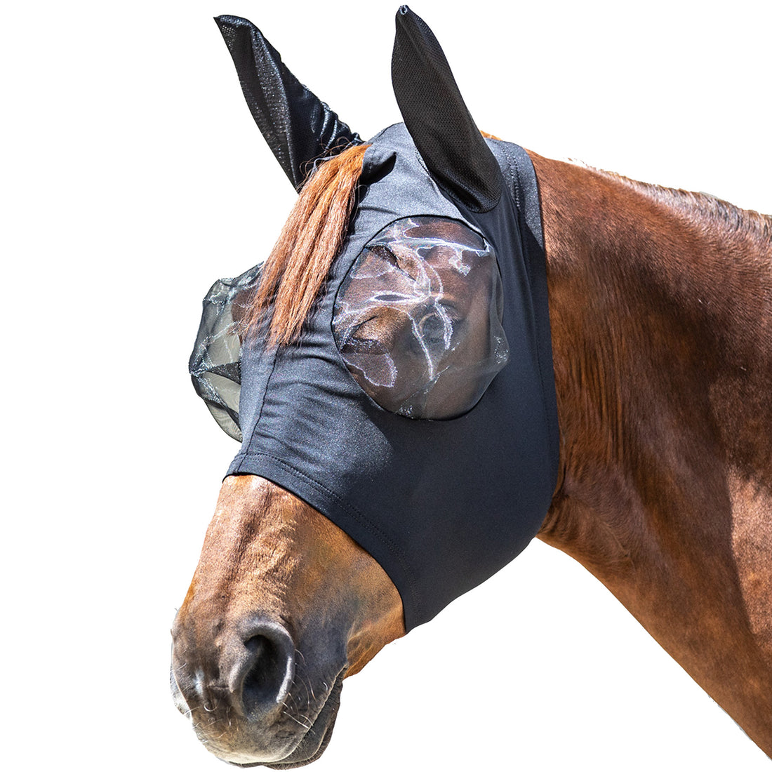 Waldhausen - Fly Mask Puck