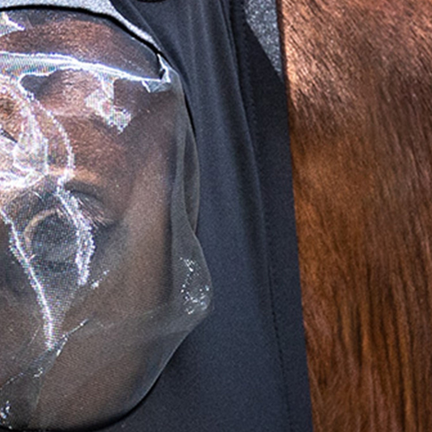 Waldhausen - Fly Mask Puck