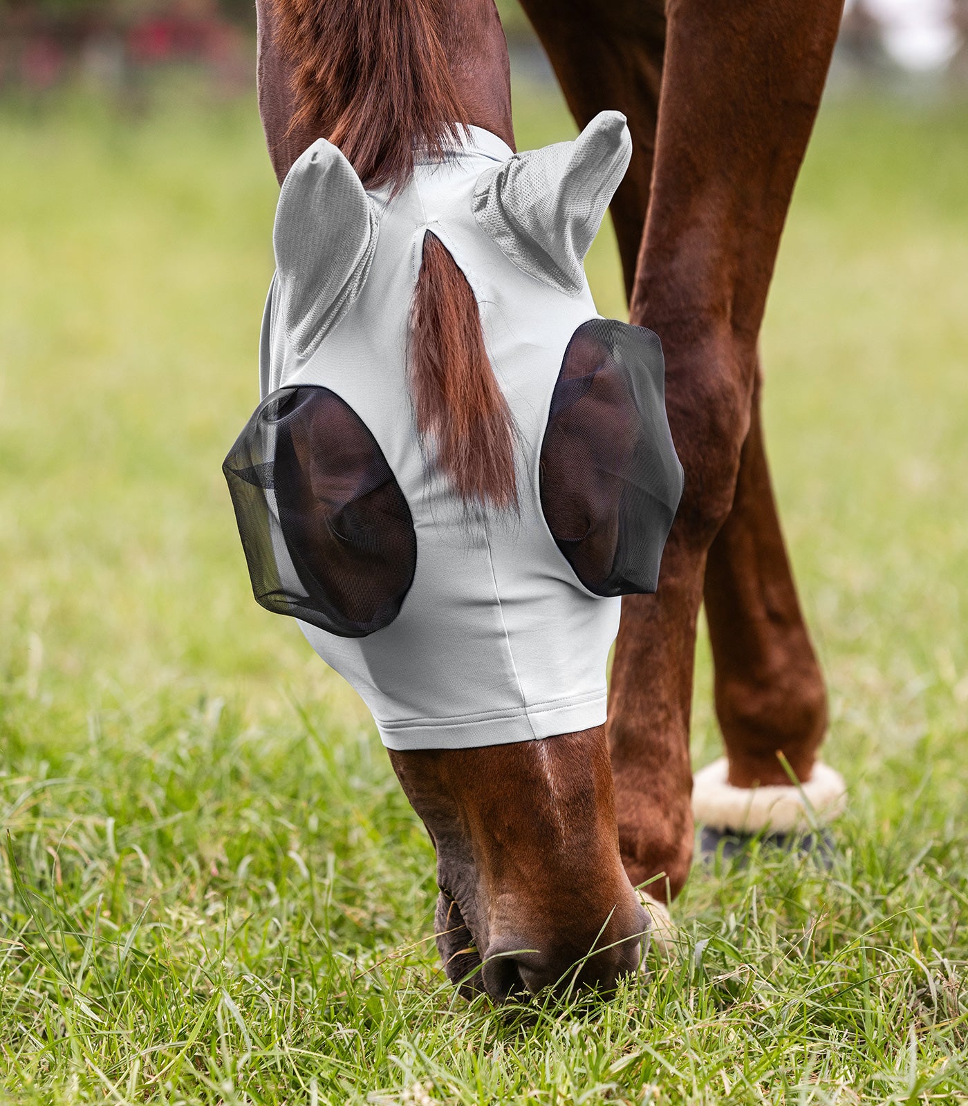 Waldhausen - Fly Mask Puck