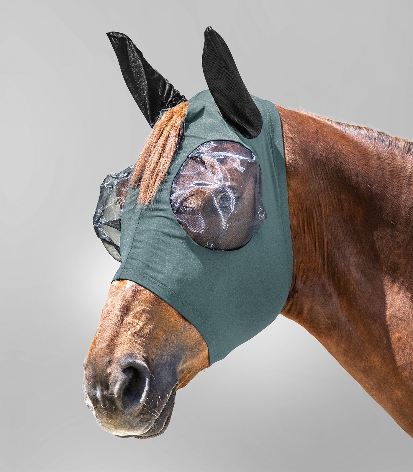 Waldhausen - Fly Mask Puck