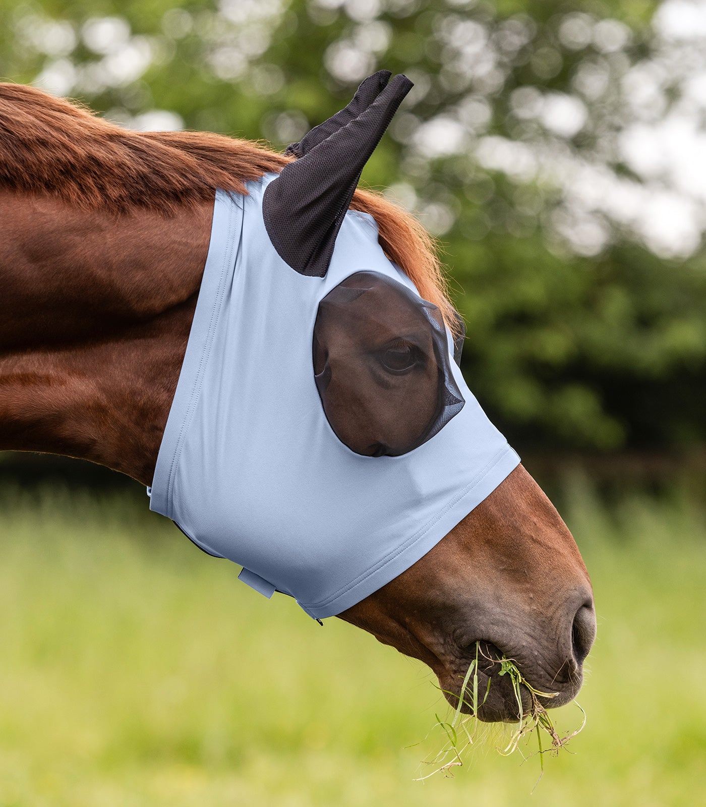 Waldhausen - Fly Mask Puck