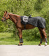Waldhausen - Exercise sheet Exclusive