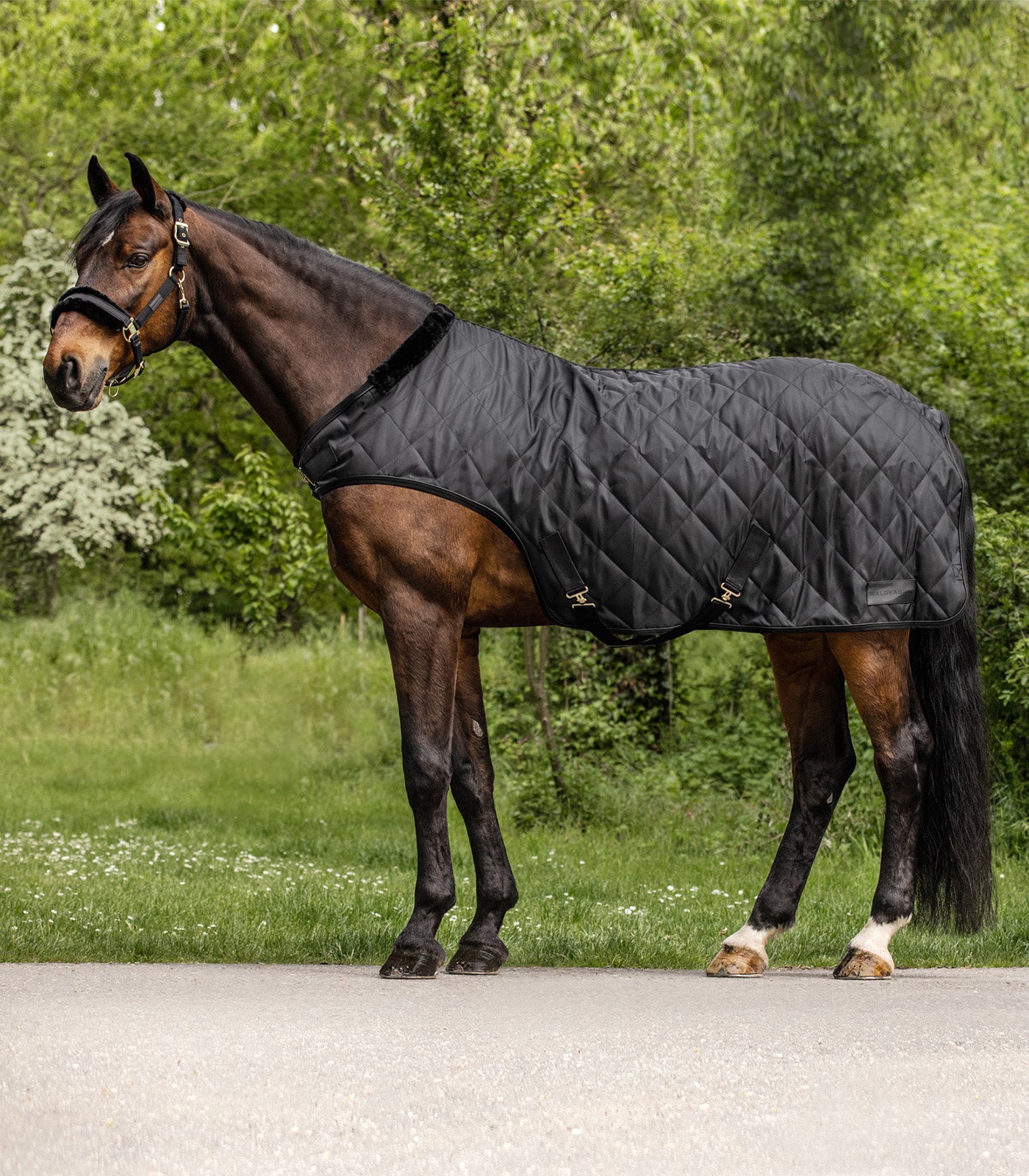 Waldhausen - Horsewalker Rug Exclusive