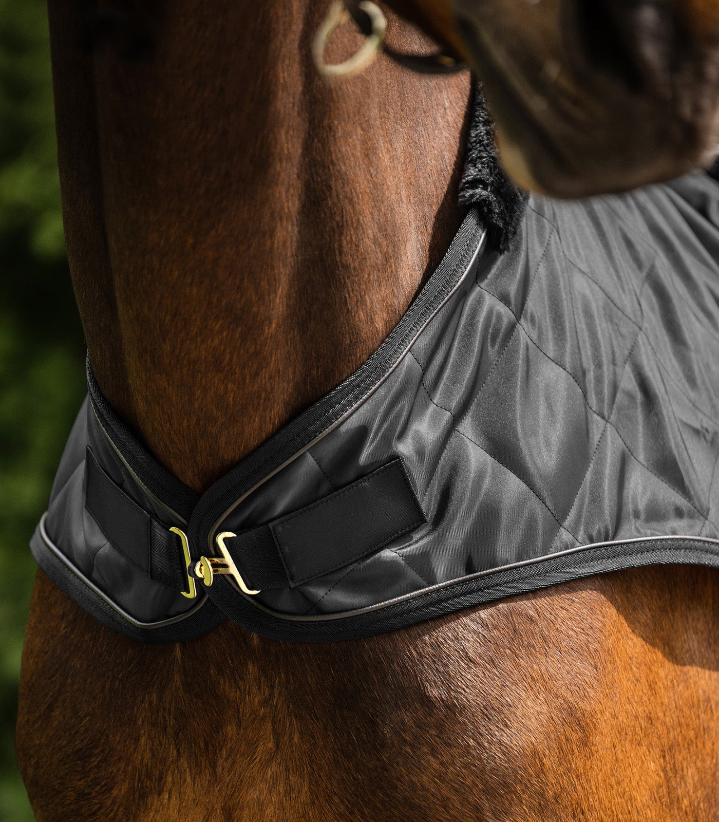 Waldhausen - Horsewalker Rug Exclusive
