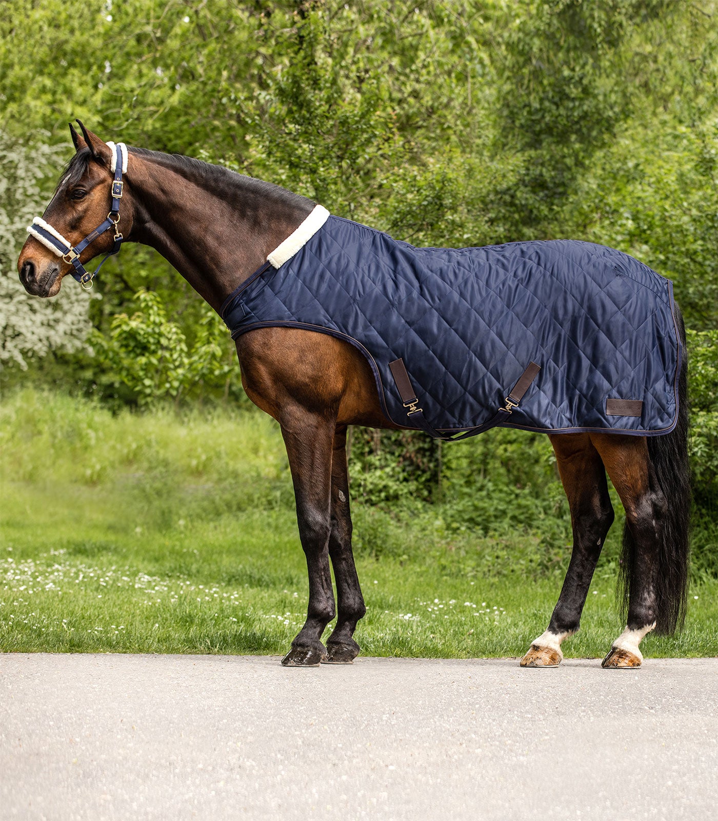 Waldhausen - Horsewalker Rug Exclusive