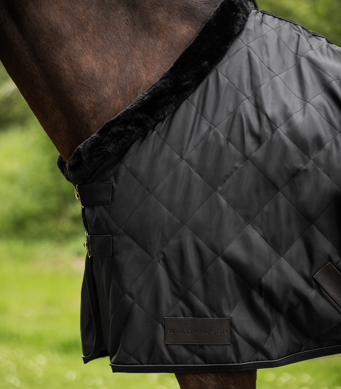 Waldhausen - Rug Exclusive