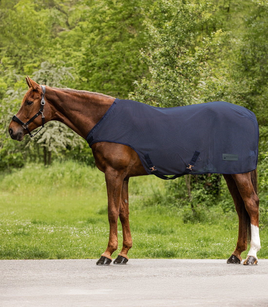 Waldhausen - Fly Walker rug Comfort, nightblue