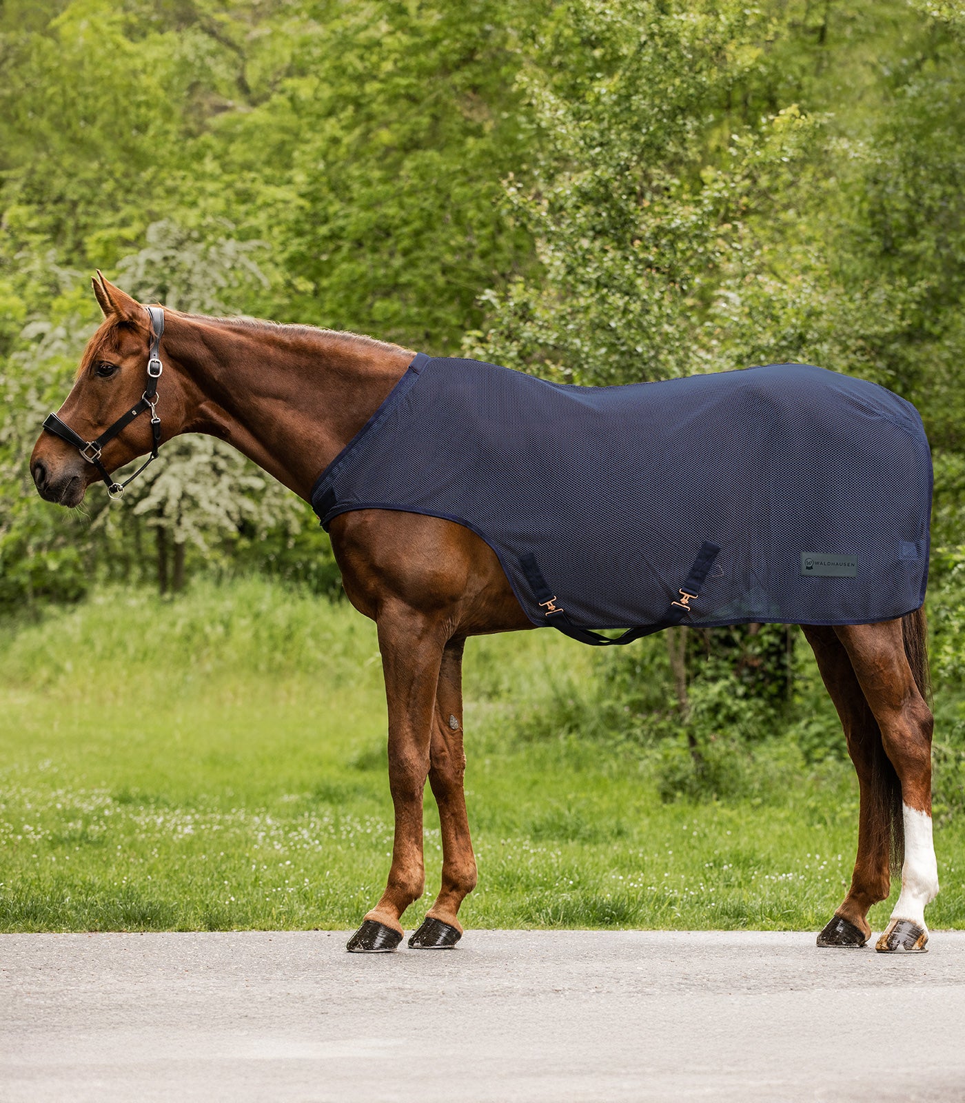 Waldhausen - Fly Walker rug Comfort, nightblue