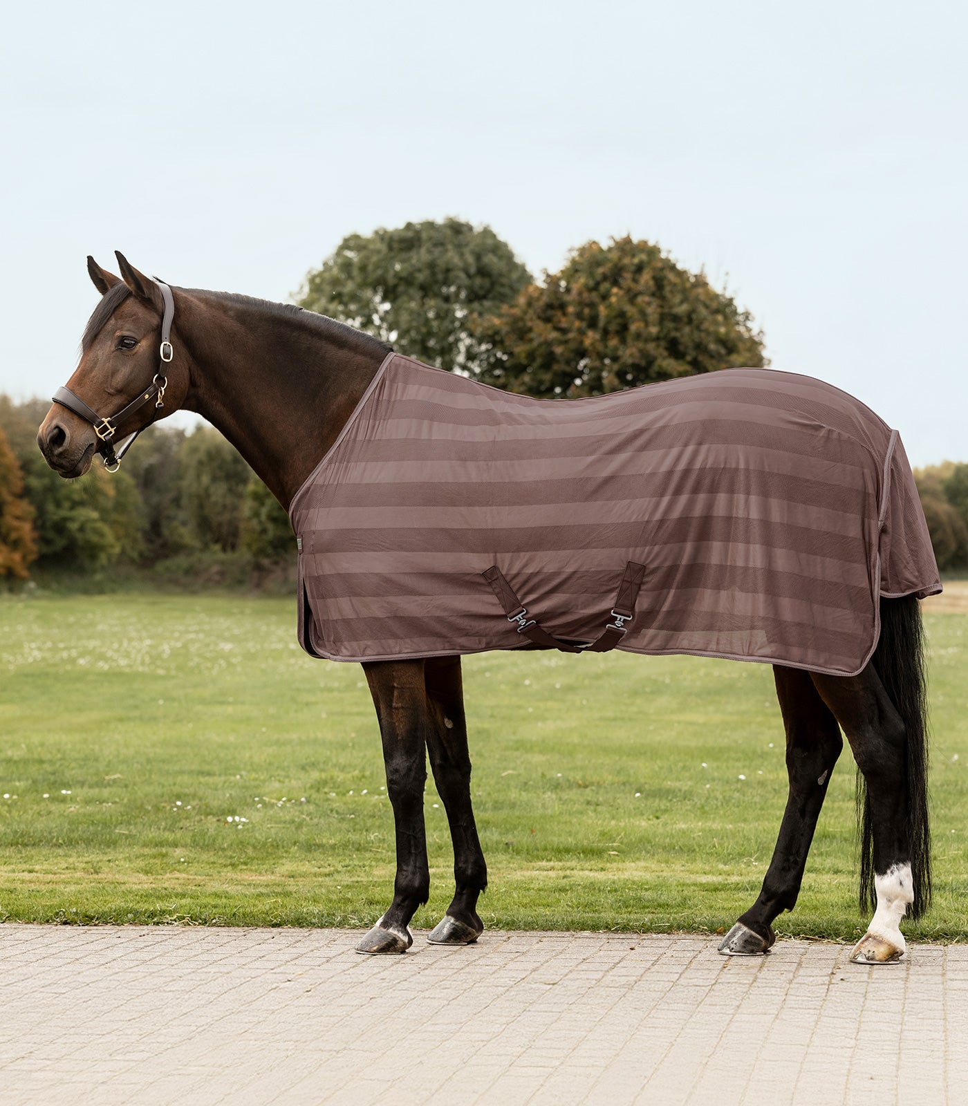Waldhausen - Fly rug Economic Cross Surcingles