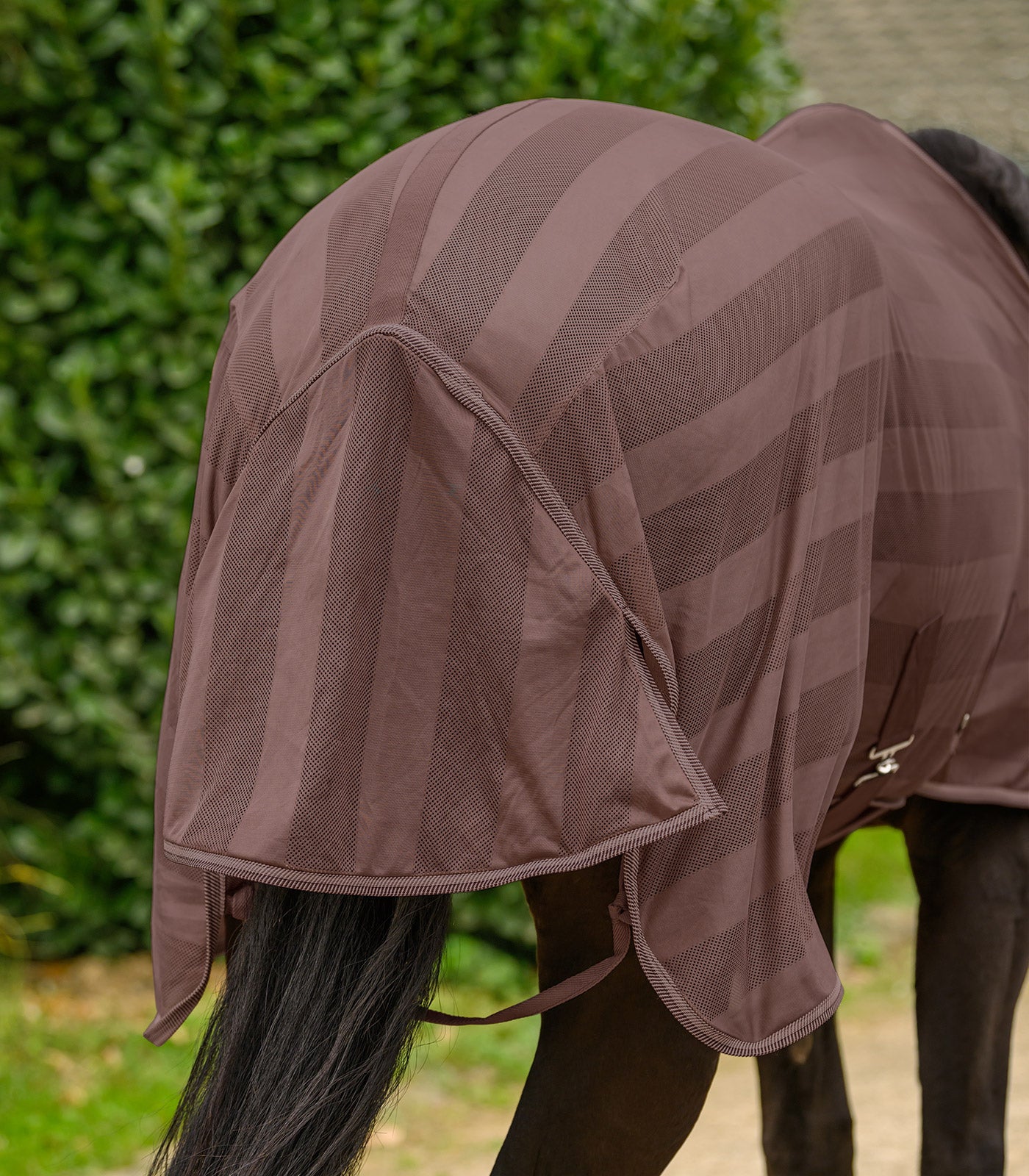 Waldhausen - Fly rug Economic Cross Surcingles
