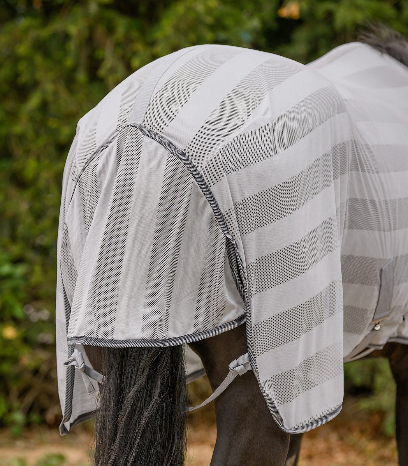 Waldhausen - Fly rug Economic Cross Surcingles