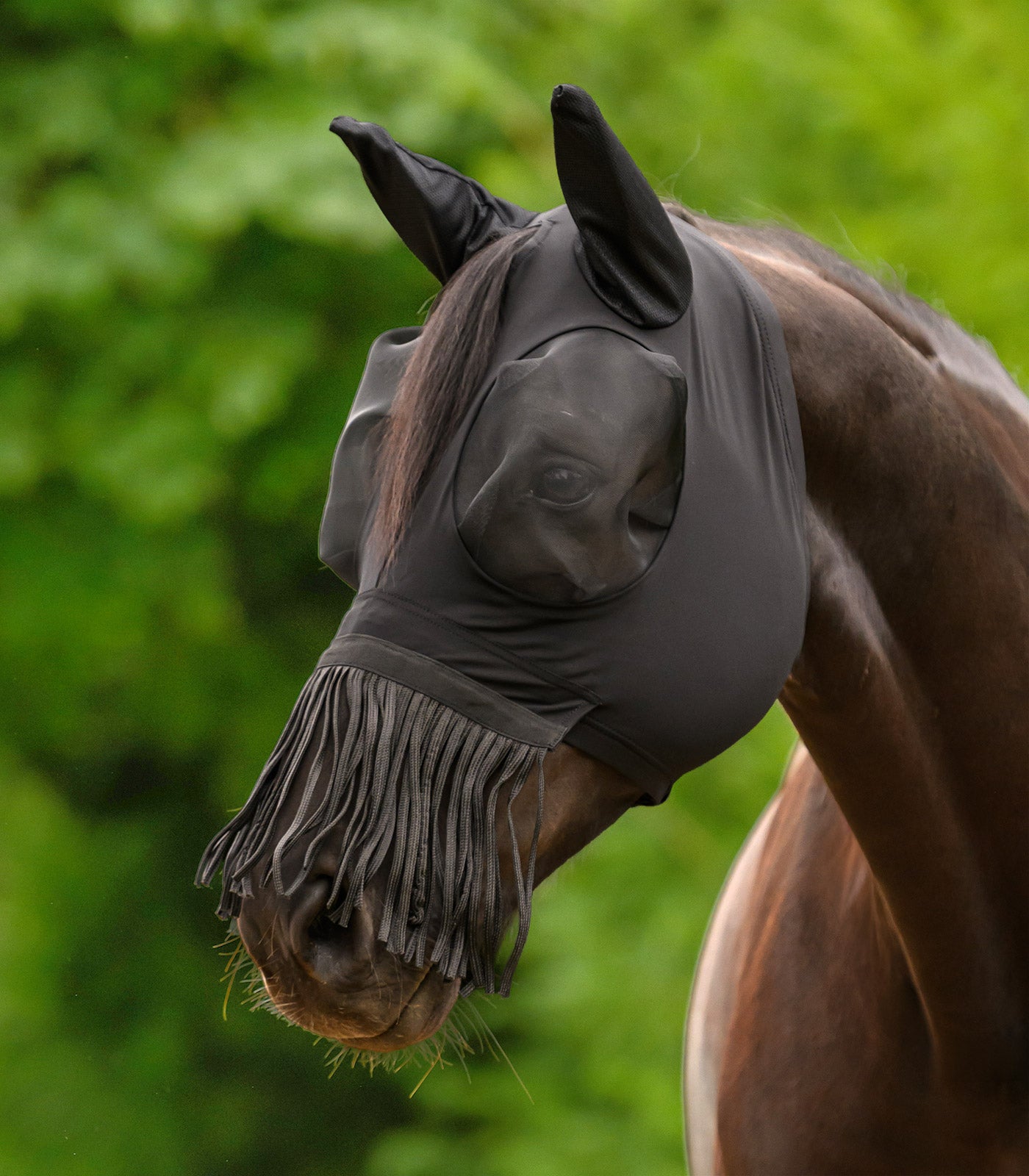 Waldhausen - Fly Mask Puck with nose fringes