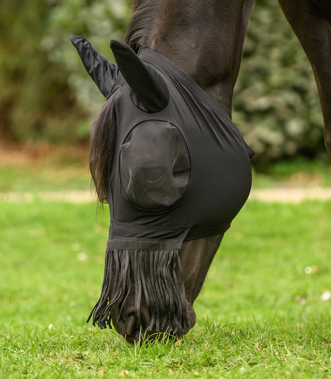 Waldhausen - Fly Mask Puck with nose fringes