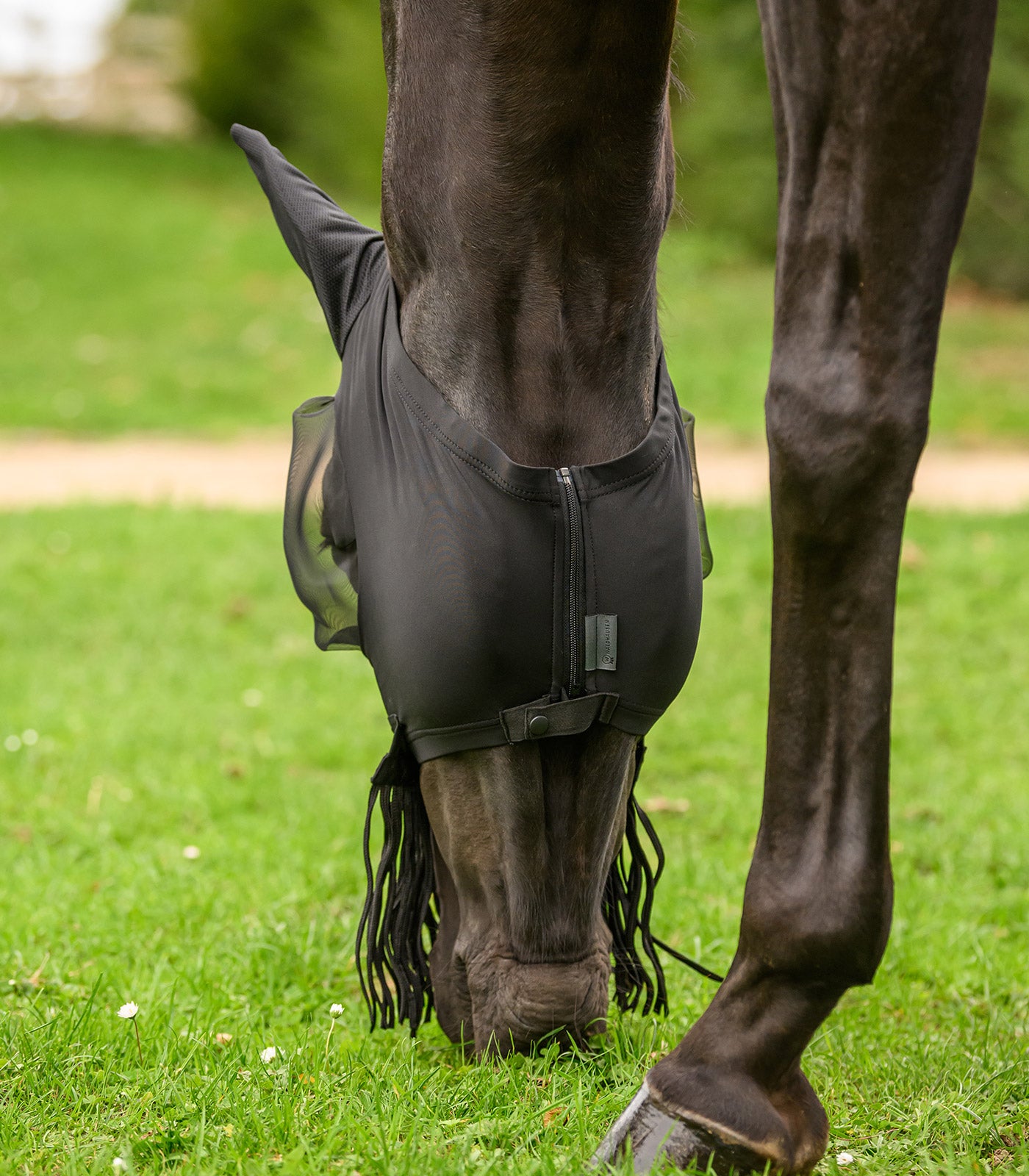 Waldhausen - Fly Mask Puck with nose fringes