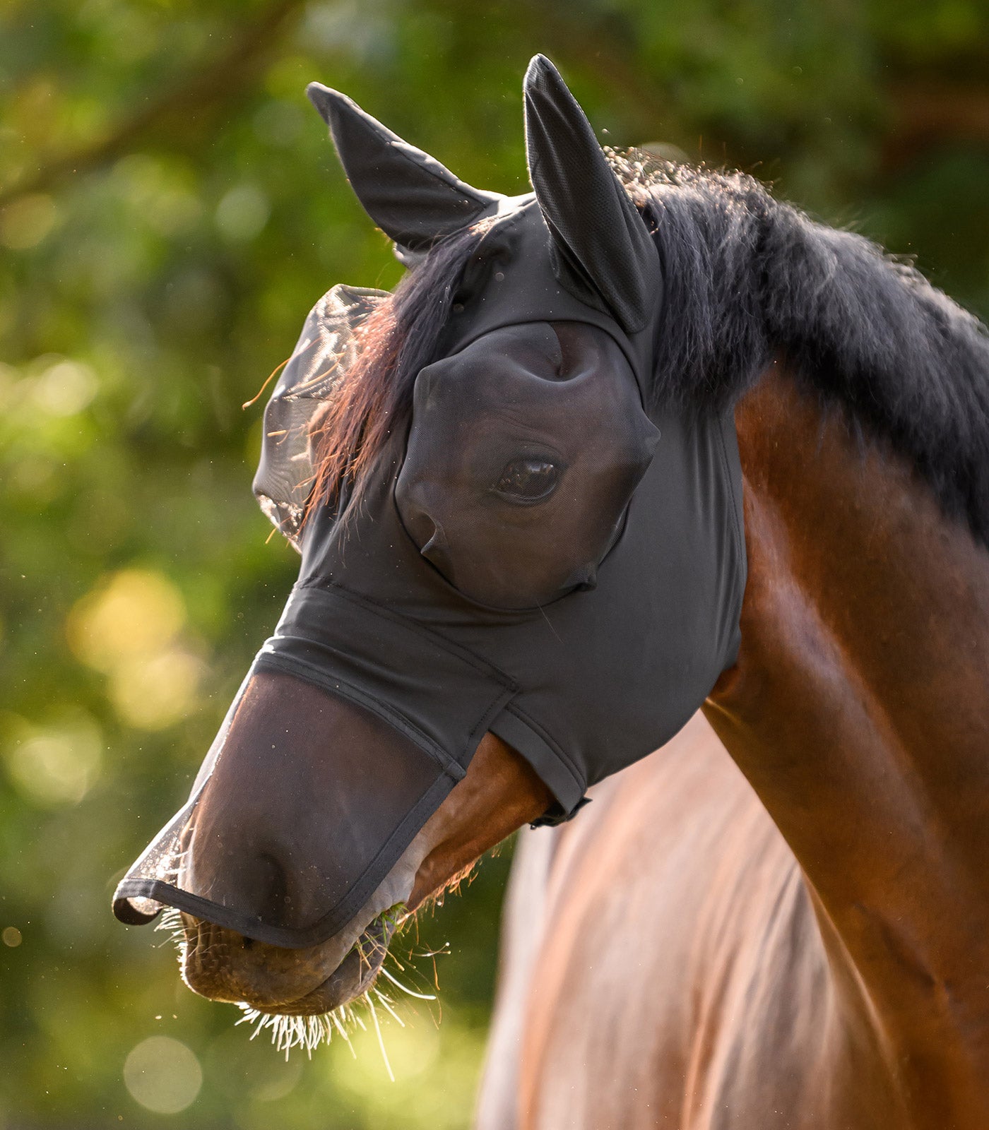 Waldhausen - Fly Mask Puck with nose protection