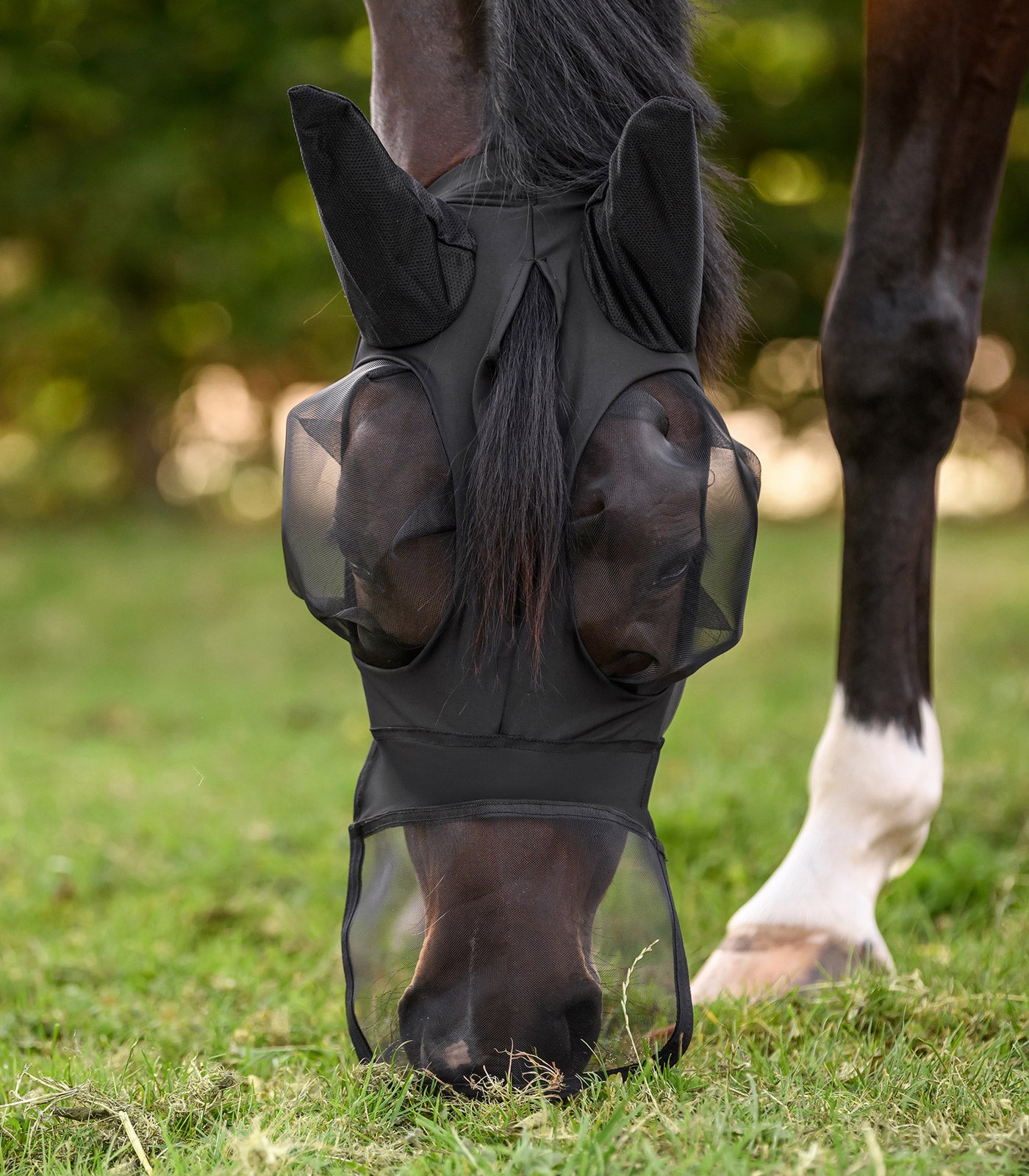 Waldhausen - Fly Mask Puck with nose protection