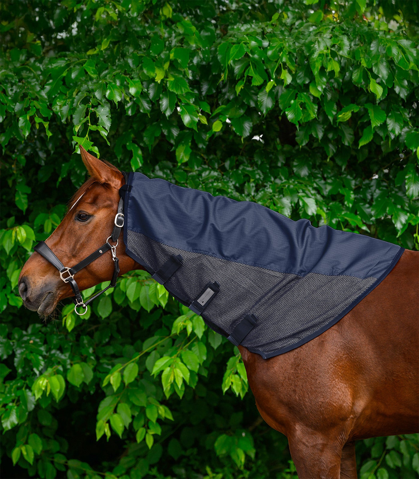 Waldhausen - Rain - Fly neck cover Comfort, night blue , Cob