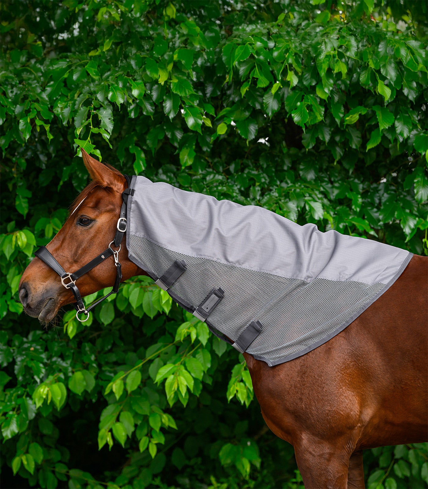 Waldhausen - Rain - Fly neck cover Comfort, night blue , Cob