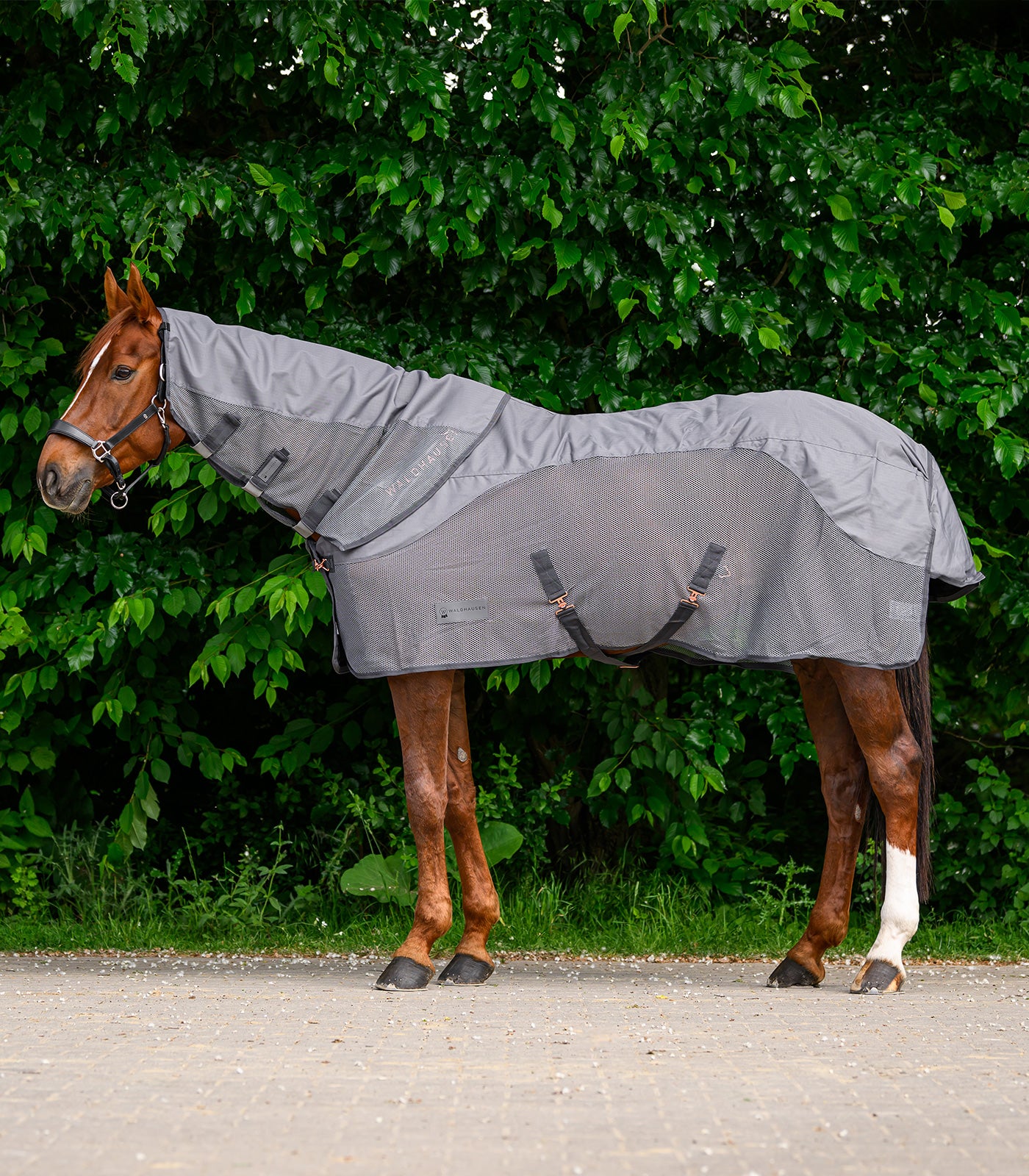 Waldhausen - Rain - Fly neck cover Comfort, night blue , Cob
