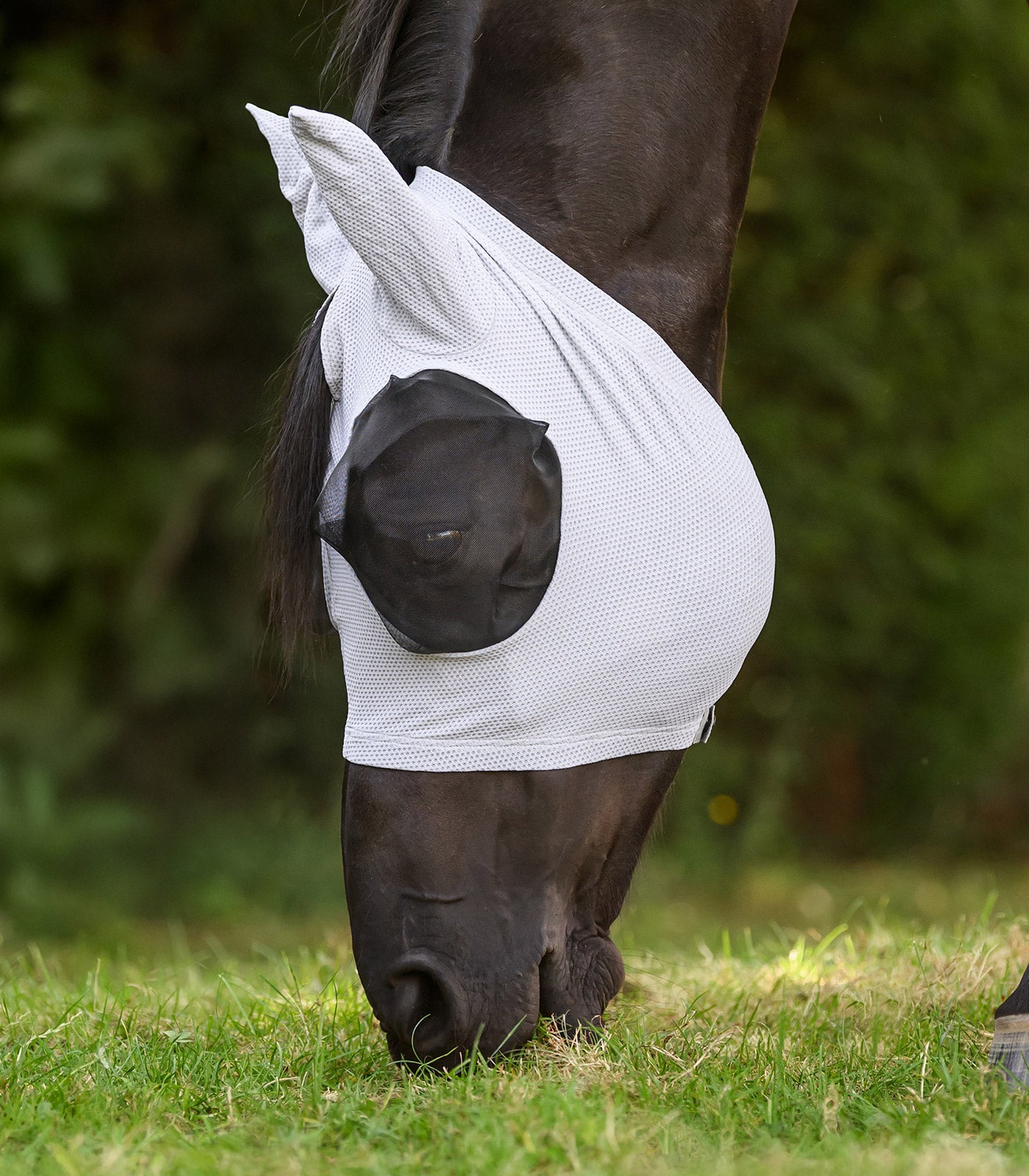 Waldhausen - Fly Mask Puck Breath