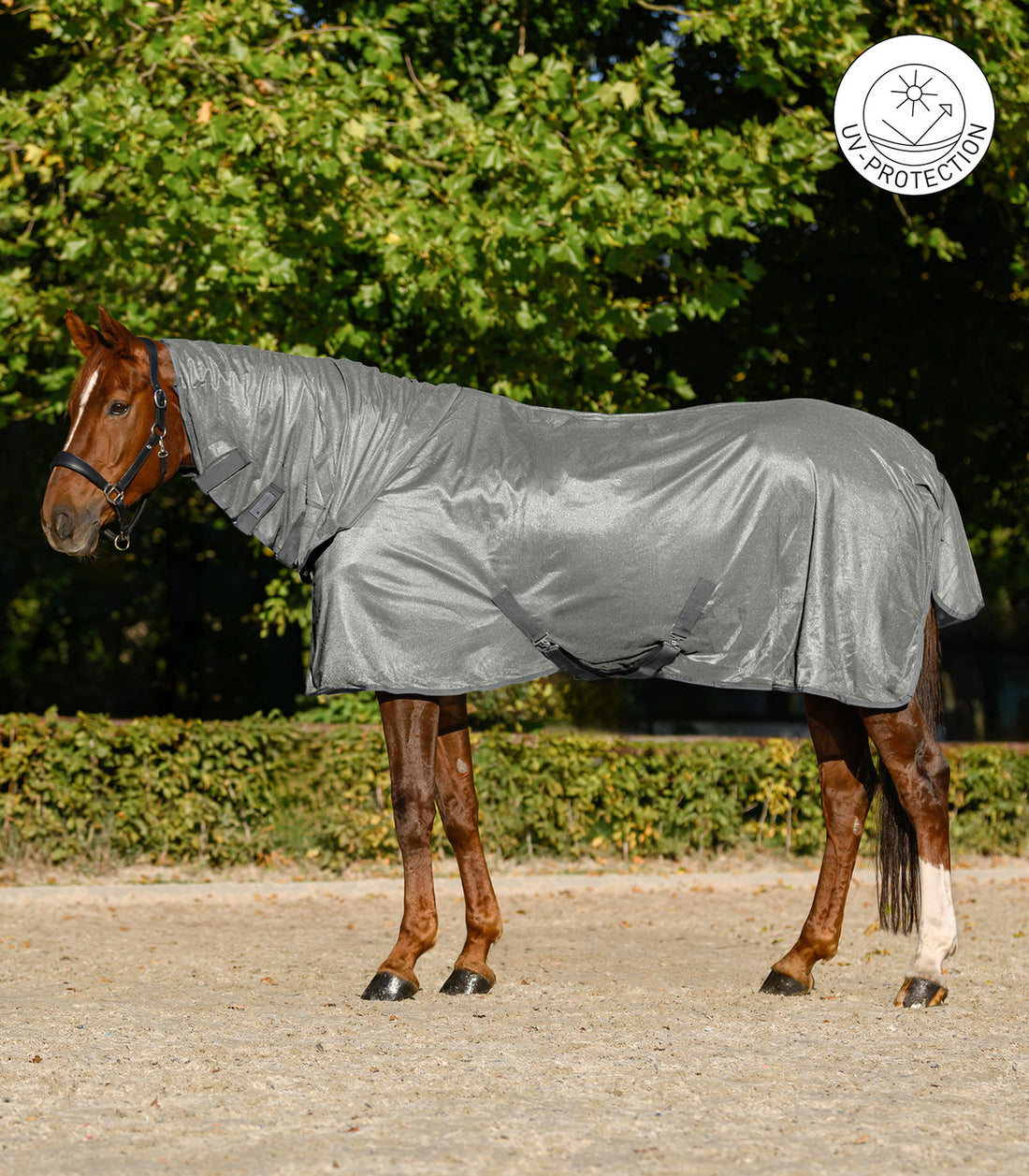 Waldhausen - Fly Rug FlyControl with neck rug