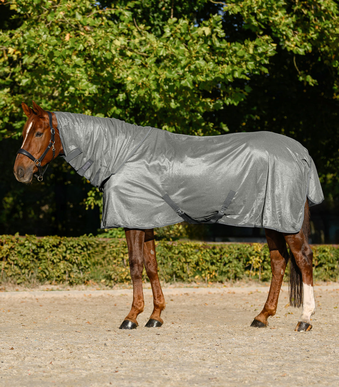 Waldhausen - Fly Rug FlyControl with neck rug
