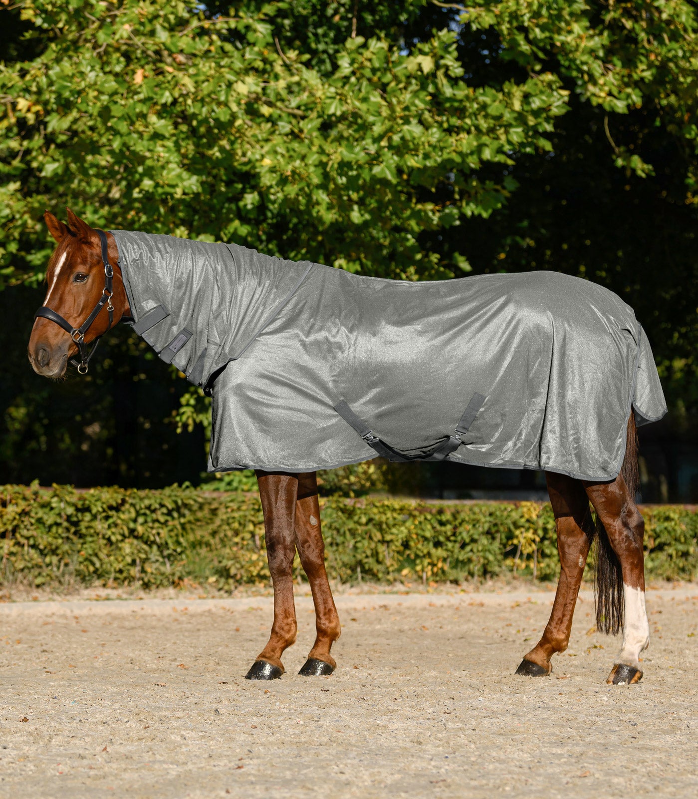 Waldhausen - Fly Rug FlyControl with neck rug