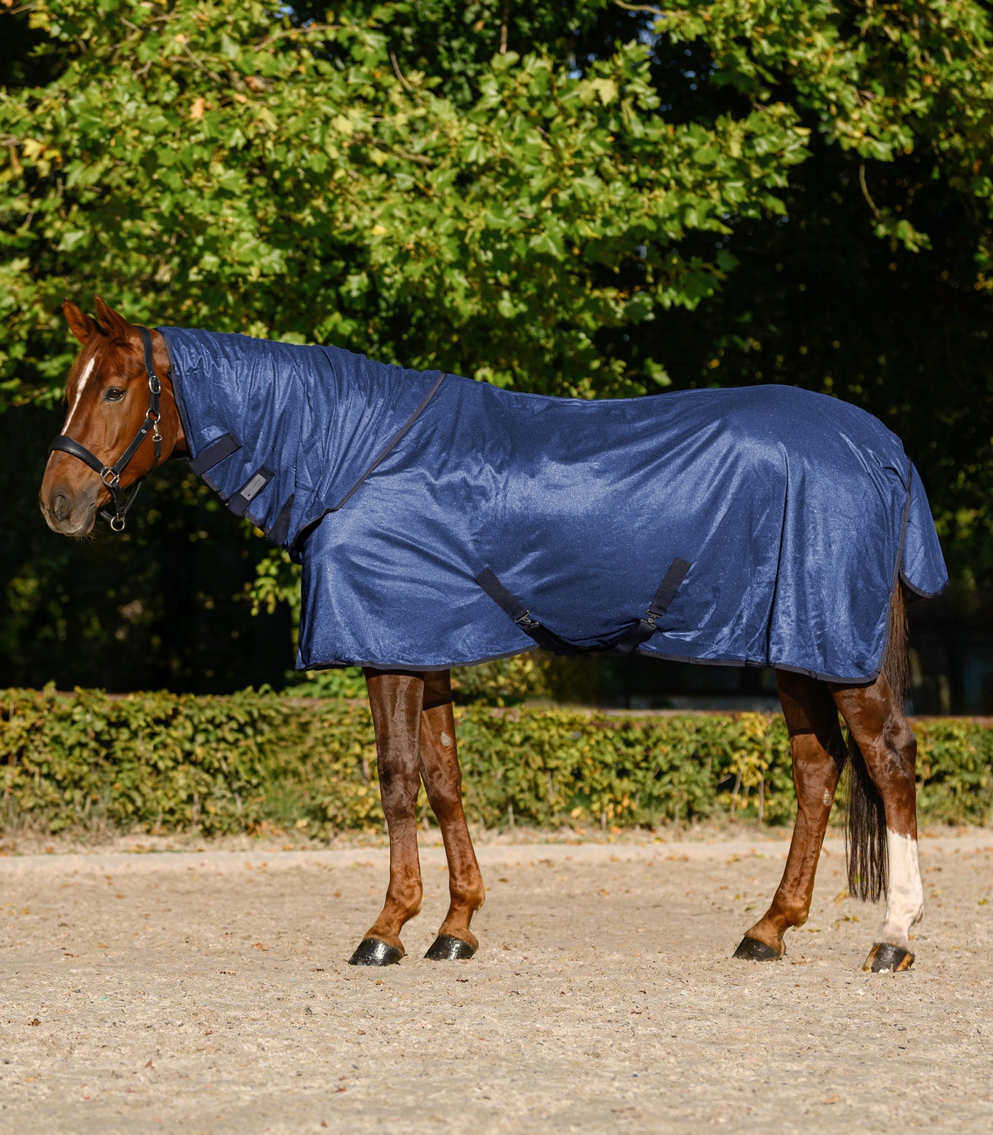 Waldhausen - Fly Rug FlyControl with neck rug