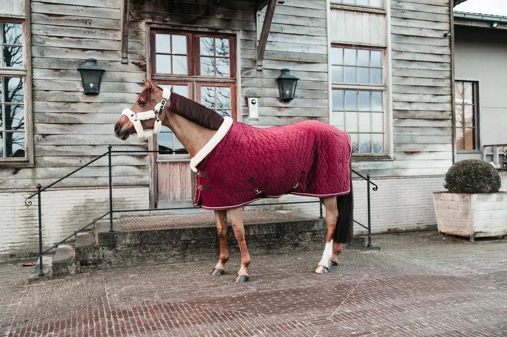 Kentucky - Stævne tæppe, show rug, Velour, Brodeaux