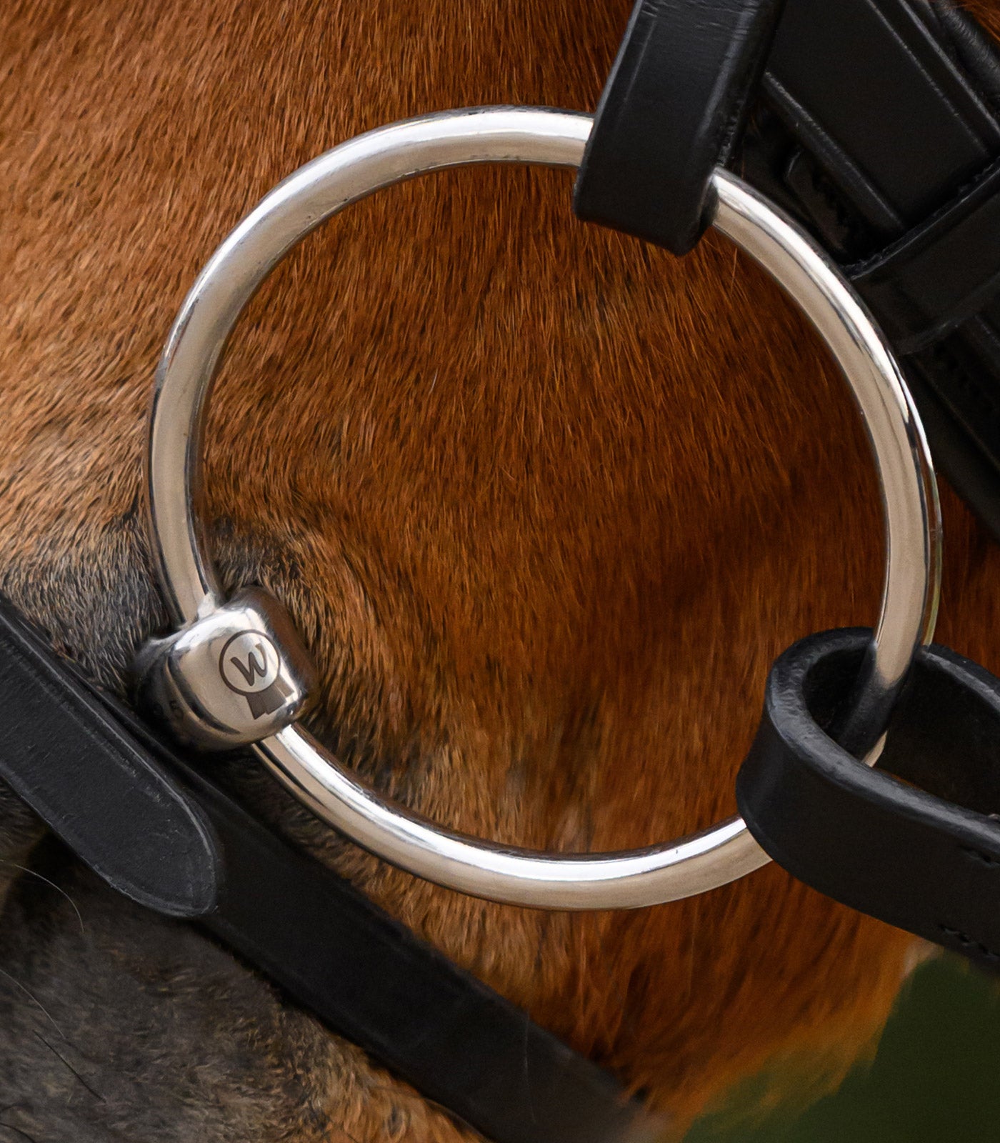 Waldhausen - Snaffle Bit anatomical , double jointed, stainless steel, R: 7cm, W: