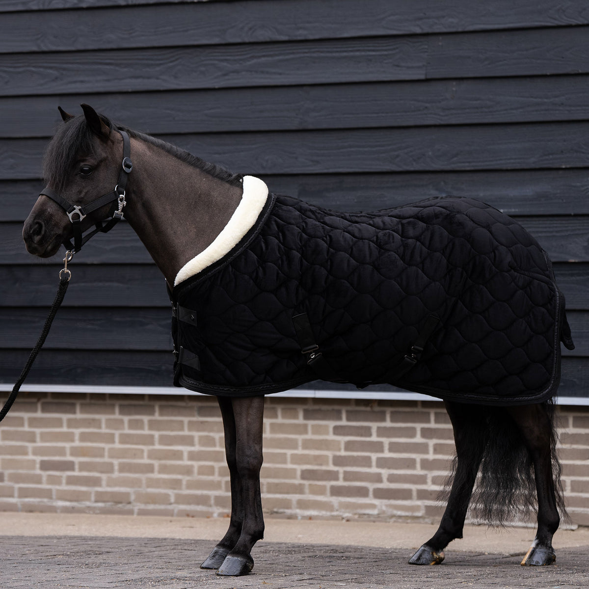 Imperial ridning, Show tæppe, Bandit- Sort