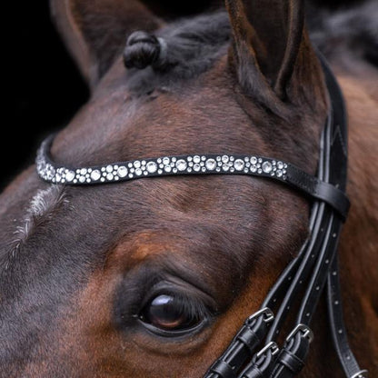 Imperial Ridning, Hovedtøj, Olympia- Black