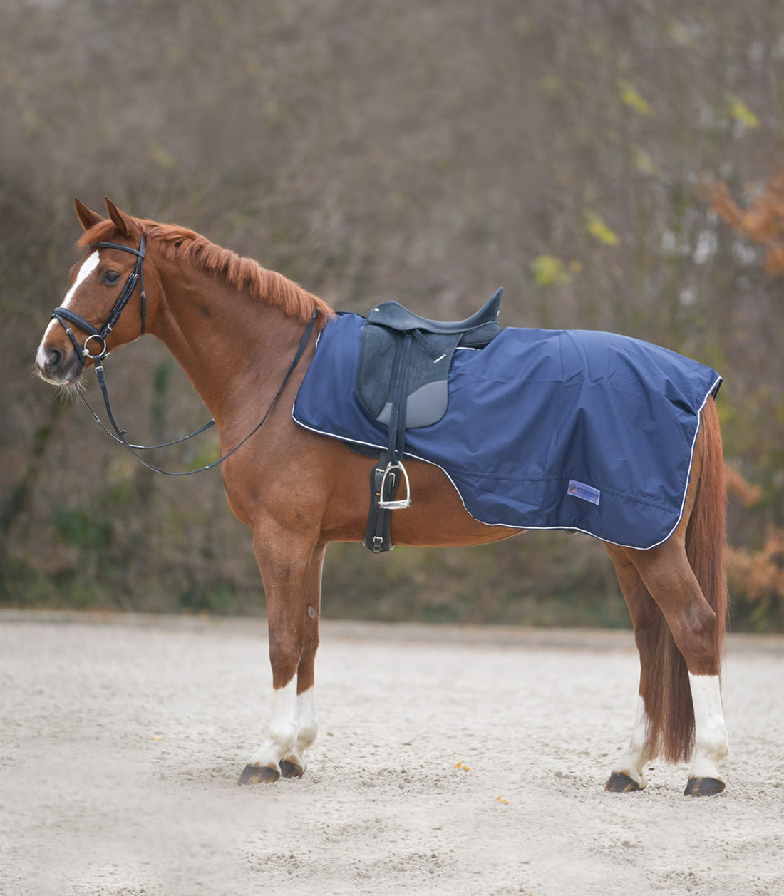 Waldhausen - Exercise Sheet with Saddle Cut, night blue, Full