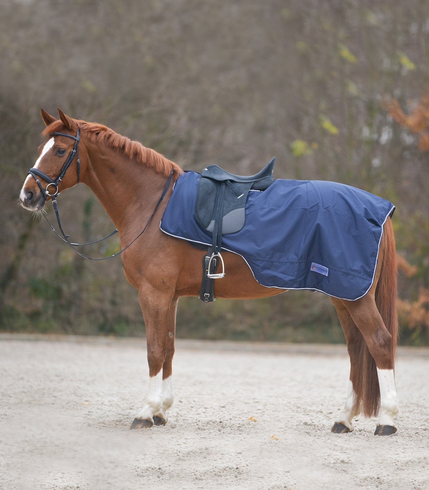 Waldhausen - Exercise Sheet with Saddle Cut, night blue, Full