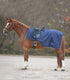 Waldhausen - Exercise Sheet with Saddle Cut, night blue, Full