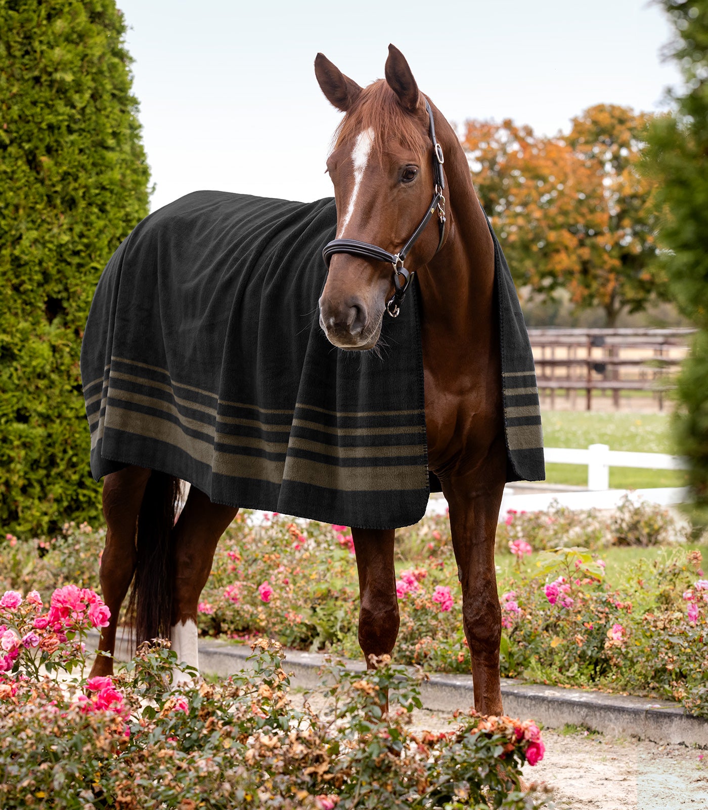 Waldhausen - Fleece rug Sölden