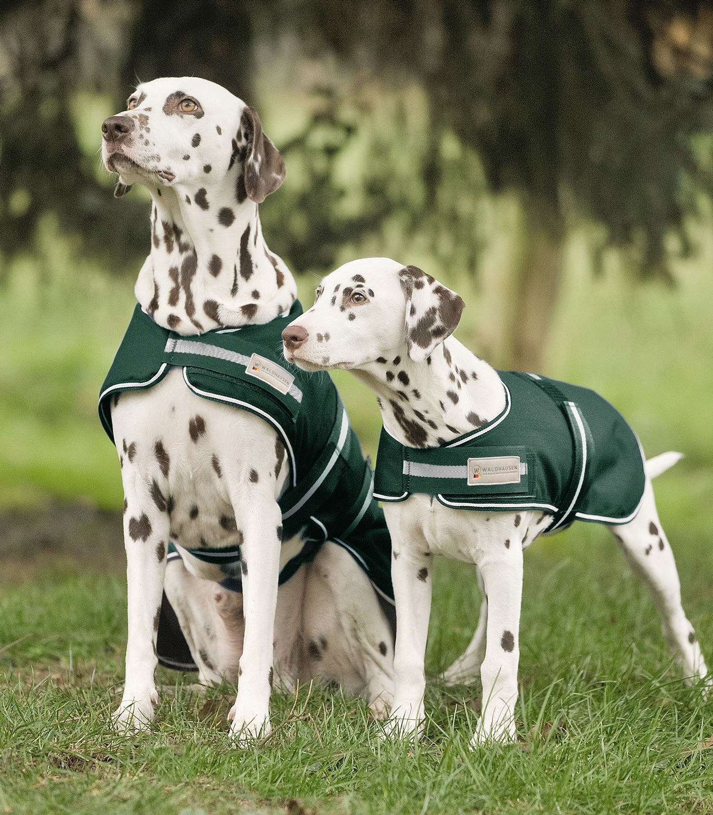 Waldhausen - Dog Rain Sheet