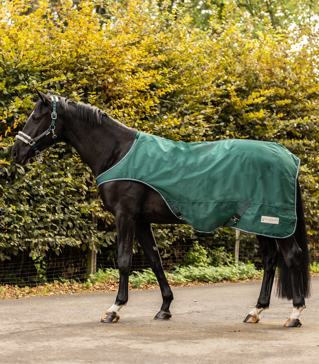 Waldhausen - Walker Rug 100 g