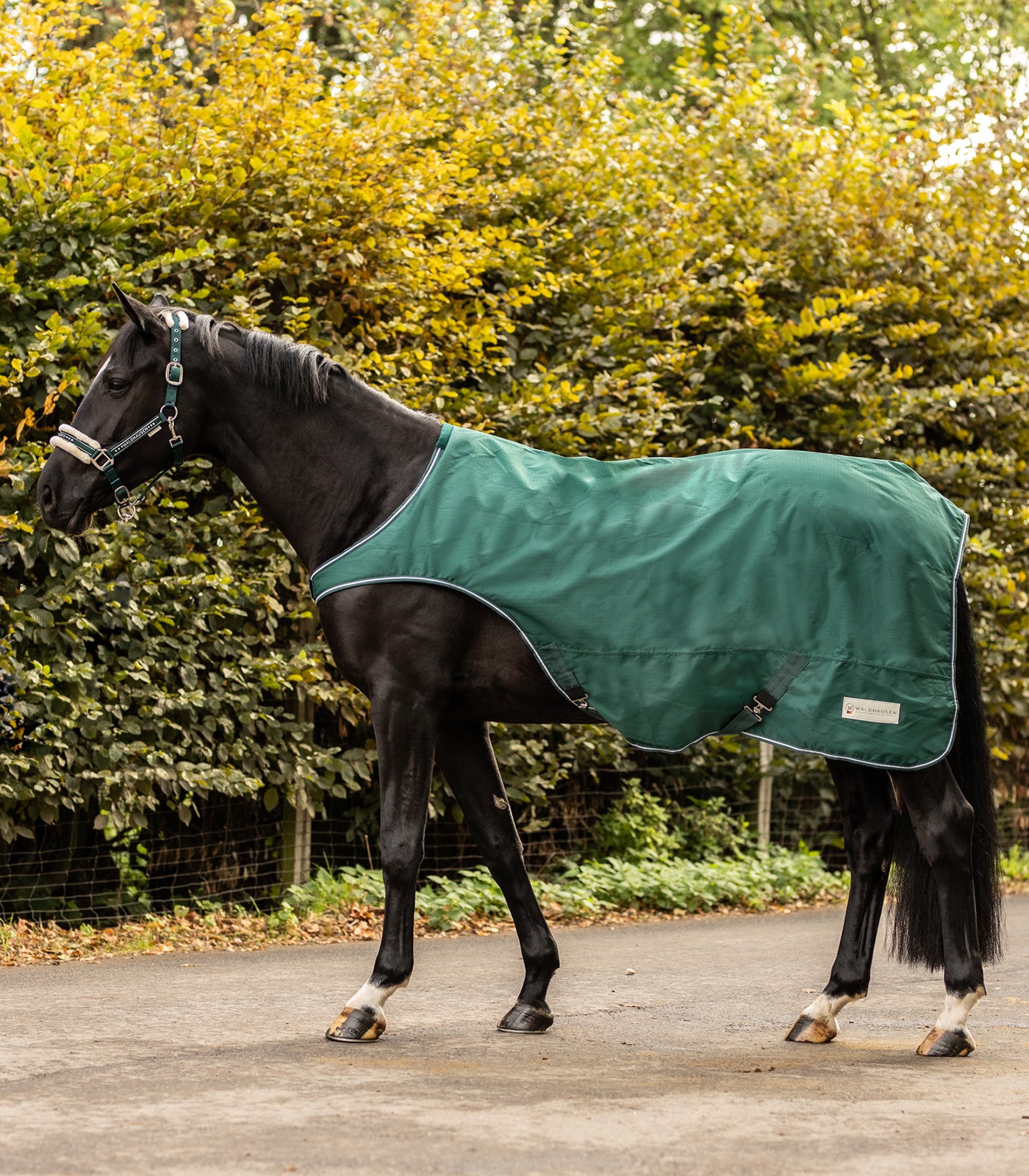 Waldhausen - Walker Rug 100 g